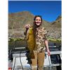 Image 4 : 1 Day Private Fishing for 4 with 2 nights lodging on the Salmon or Snake River with Hammer Down