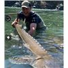 Image 7 : 1 Day Private Fishing for 4 with 2 nights lodging on the Salmon or Snake River with Hammer Down