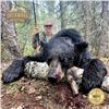 Image 5 : 6-Day Black Bear and Fishing Trip for 1 hunter with Sherwood Outfitters in Northeastern Alberta