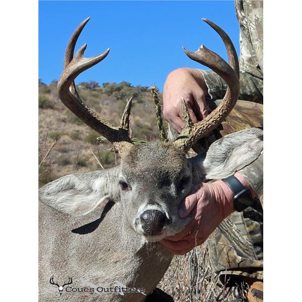 5-day Coues Deer Hunt for One Hunter with Coues Outfitters in Sonora, Mexico