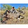 Image 4 : 5-day Coues Deer Hunt for One Hunter with Coues Outfitters in Sonora, Mexico