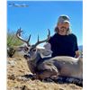 Image 5 : 5-day Coues Deer Hunt for One Hunter with Coues Outfitters in Sonora, Mexico