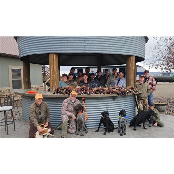 2-Night Evening and day Pheasant Hunt for Two Hunters with South Hills Lodge