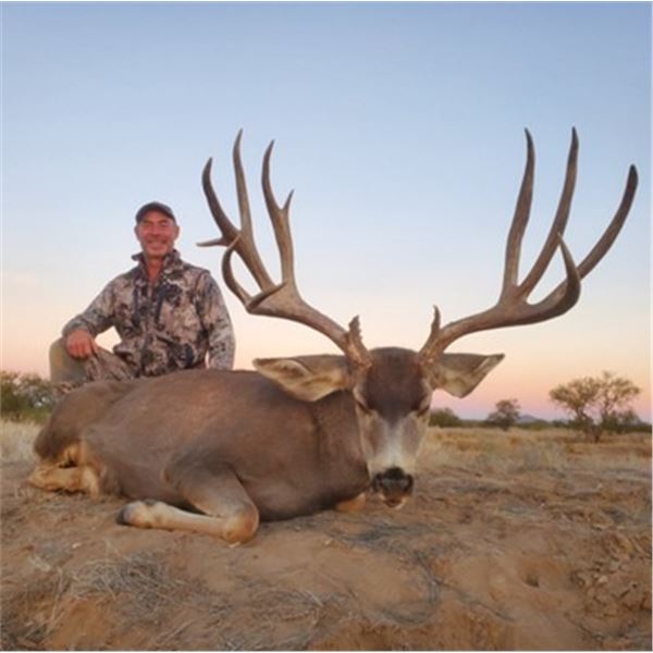 6-Day Free Range Mexico Mule Deer Hunt with Sonora Grande Hunting Company