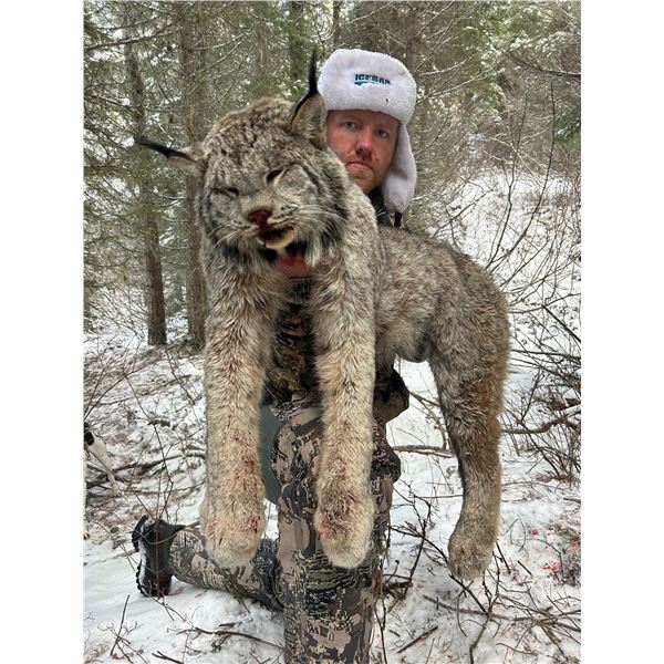 6-Day British Columbia Lynx hunt with Ram Creek Outfitters