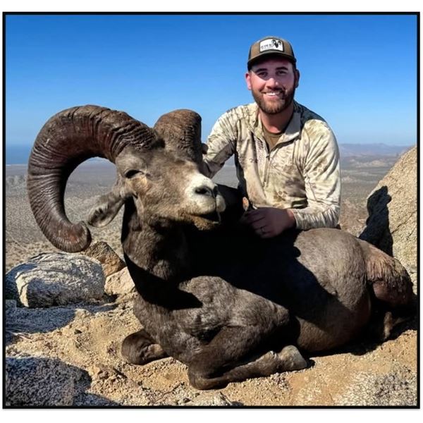 12-day Free Range Mexico Desert Sheep Hunt with Mesquite Mountain Outfitters
