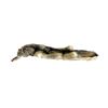 Image 1 : Wolf Pelt
