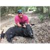 Image 5 : 2 Man-3 day, 2 night Texas Wild Hog Hunt with Independence Ranch