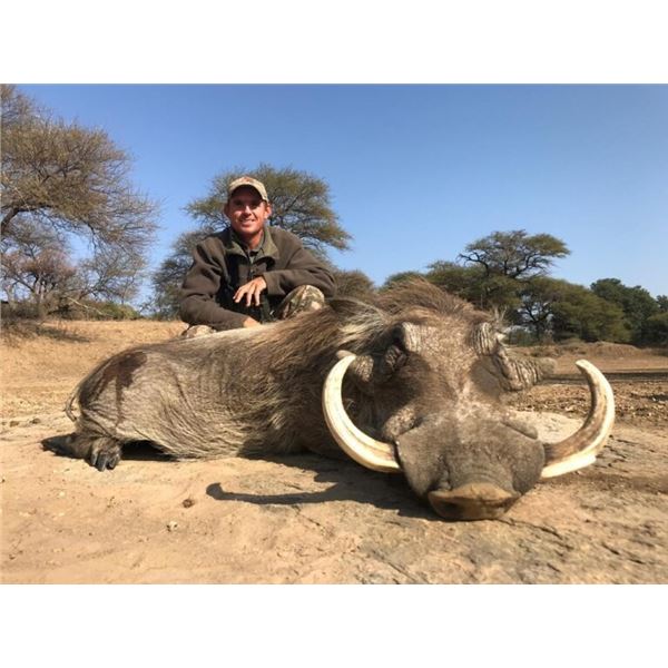 7-day South Africa Safari with Sabudawn Safaris