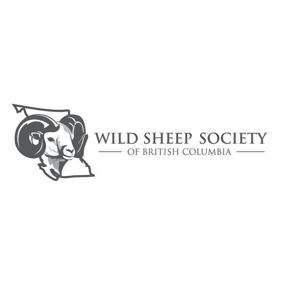Wild Sheep Society of British Columbia Life Membership
