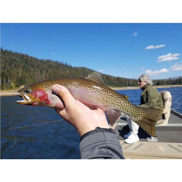 1-Day Fly Fishing Trip for Two in the McCall area