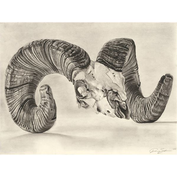 Stunning 22 x 28” Charcoal Ram Skull Print by Derek Stevenson