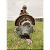 Image 1 : 2-Day Youth and Adult Idaho Turkey Hunt with Mike Schlegel