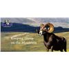 Image 2 : Midwest Chapter of the Wild Sheep Foundation Life Membership