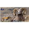 Image 3 : Midwest Chapter of the Wild Sheep Foundation Life Membership