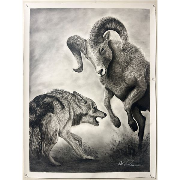 Original Charcoal on Paper titled ‘Not Today’ by Pat Churchman