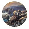Image 4 : Set of four limited edition plates by Trevor Swanson produced by the Danbury Mint