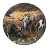 Image 5 : Set of four limited edition plates by Trevor Swanson produced by the Danbury Mint