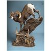 Image 1 : $1,000 Taxidermy from Cedar Mountain Taxidermy