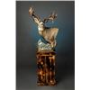 Image 4 : $1,000 Taxidermy from Cedar Mountain Taxidermy