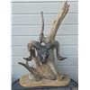 Image 1 : Custom “Full Circle” – Ram Skull with the Tree of Life