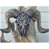 Image 3 : Custom “Full Circle” – Ram Skull with the Tree of Life