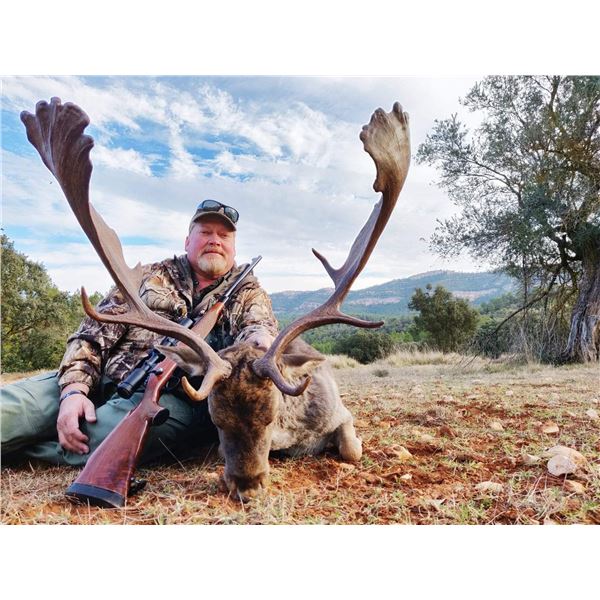 4-day Fallow Deer or Roe Deer Hunt in Spain for One Hunter and Non-Hunter with Eurohunts Spain