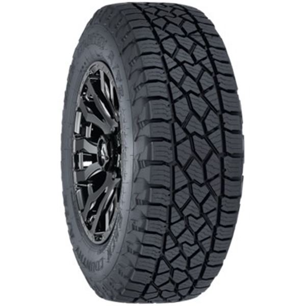 Les Schwab Tires Set of Four Back Country A/T2 Tires