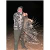 Image 4 : Ultimate African Experience