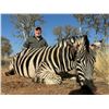 Image 6 : Ultimate African Experience
