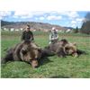 Image 2 : Croatian Big Game Plus Coppersmith Certificate