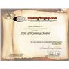 Image 8 : Croatian Big Game Plus Coppersmith Certificate
