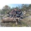 Image 12 : Red Stag In Spain