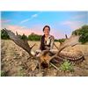 Image 8 : Red Stag In Spain