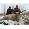 Image 10 : Serbian Deer or Boar