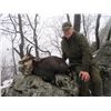 Image 2 : Serbian Deer or Boar