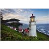 Image 14 : Willamette Wine Retreat