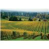 Image 17 : Willamette Wine Retreat