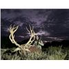 Image 10 : Patagonia Big Game