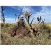 Image 11 : Patagonia Big Game