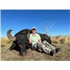Image 13 : Patagonia Big Game