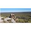 Image 19 : Patagonia Big Game