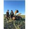 Image 1 : Patagonia Big Game