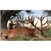 Image 3 : Patagonia Big Game
