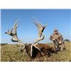 Image 4 : Patagonia Big Game
