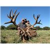 Image 5 : Patagonia Big Game