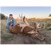 Image 7 : Patagonia Big Game
