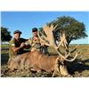 Image 8 : Patagonia Big Game