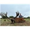 Image 9 : Patagonia Big Game