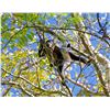 Image 7 : Crocodile Bay Costa Rica